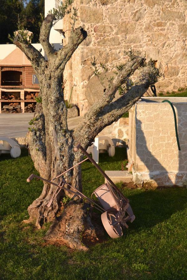 Casa Da Trapa Villa Оливейра де Аземейс Екстериор снимка